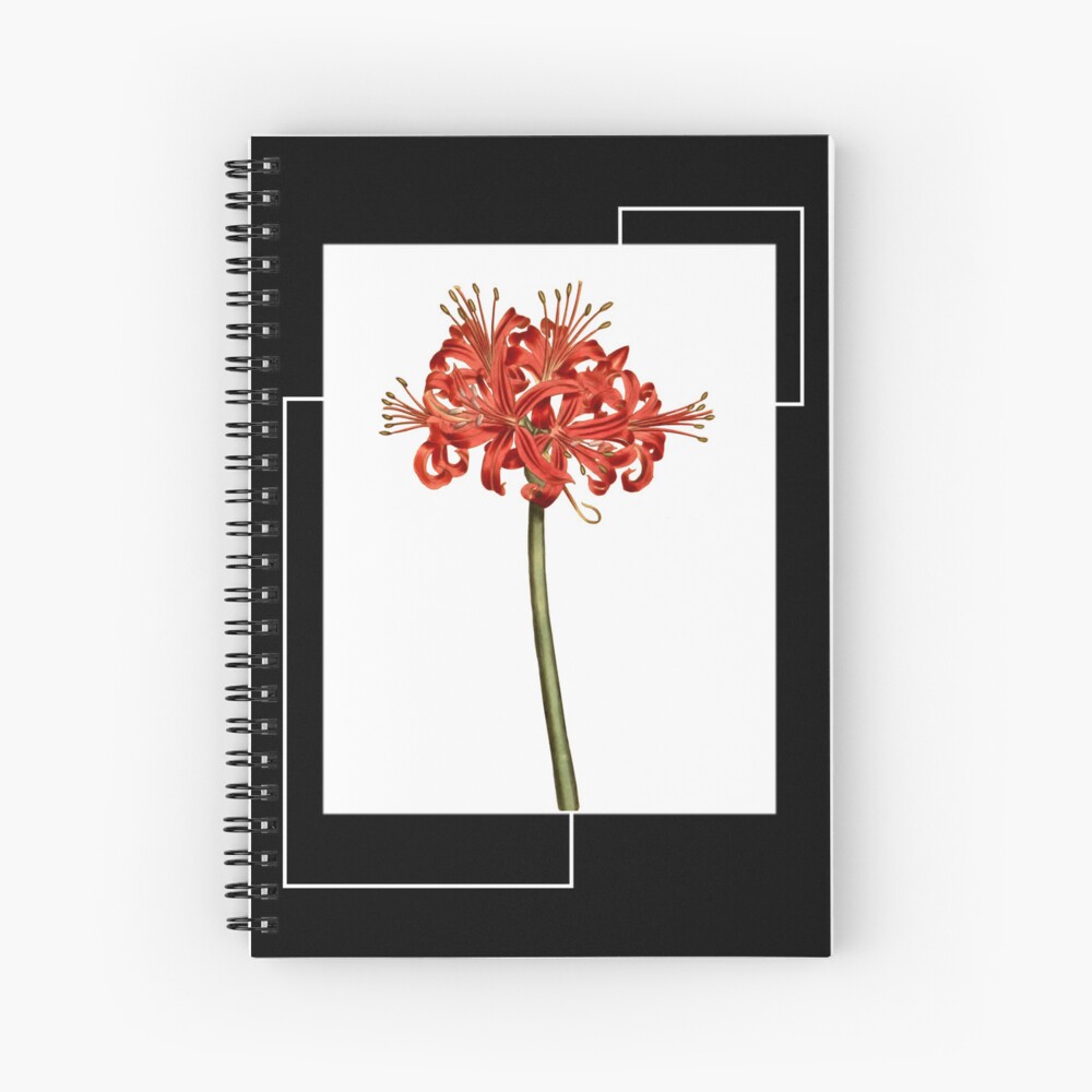 "Red Spider Lily Lycoris Recoil Anime Fanart Lycoris Radiata Death ...
