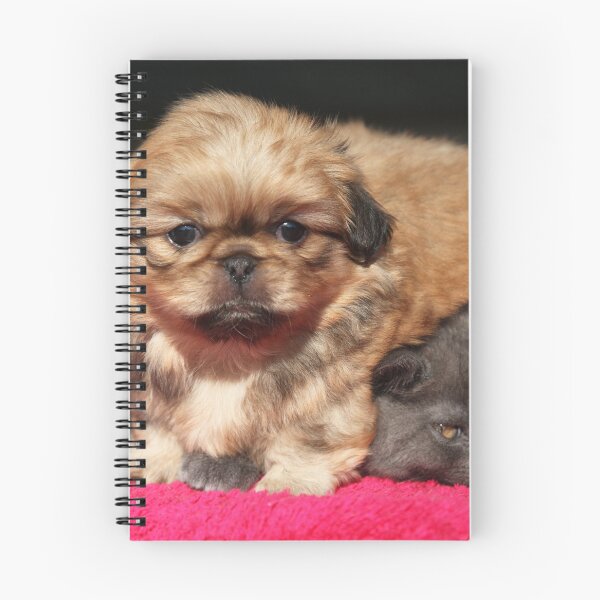 Item preview, Small puppy and grey kitten designed and sold by olena2552.