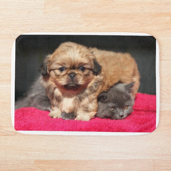 Item preview, Small puppy and grey kitten designed and sold by olena2552.