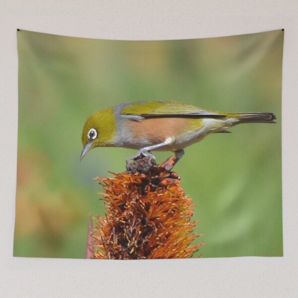 Item preview, Silvereye on the flower designed and sold by lizdomett.