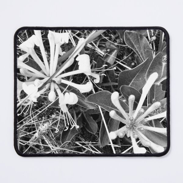 Item preview, IN THE DUNES designed and sold by KeK-design.