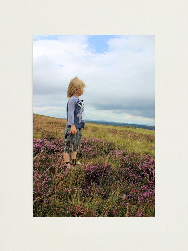 Alternate view of Looking out over the heather Photographic Print