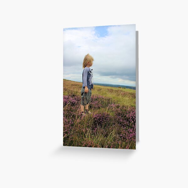 Looking out over the heather Greeting Card