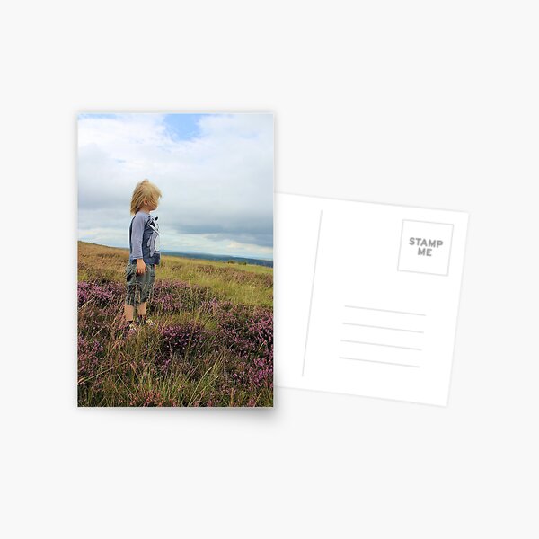 Looking out over the heather Postcard
