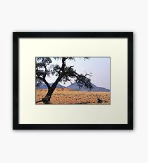 Oryx hiding fro the midday sun Framed Print