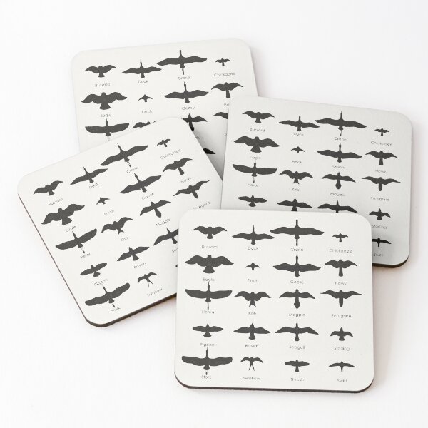 Item preview, Field Guide for Birding Identification Chart designed and sold by Iris Luckhaus.