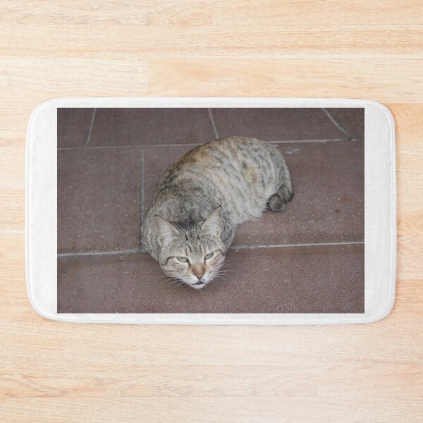 Item preview, Cute cat resting on the floor designed and sold by MubaraksArt.