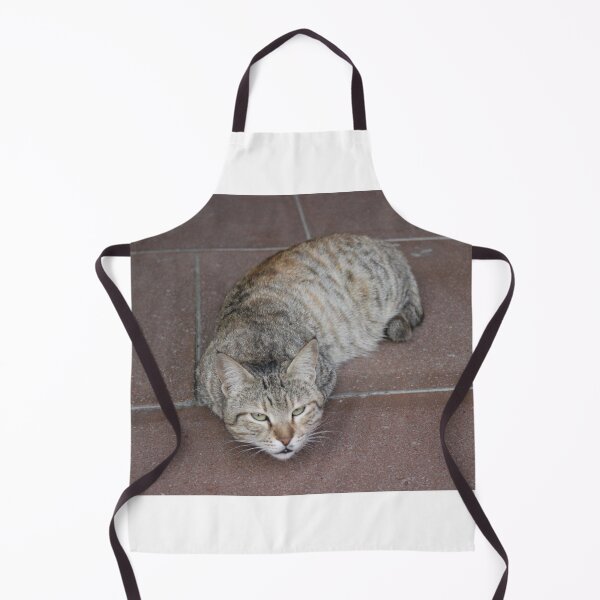 Item preview, Cute cat resting on the floor designed and sold by MubaraksArt.