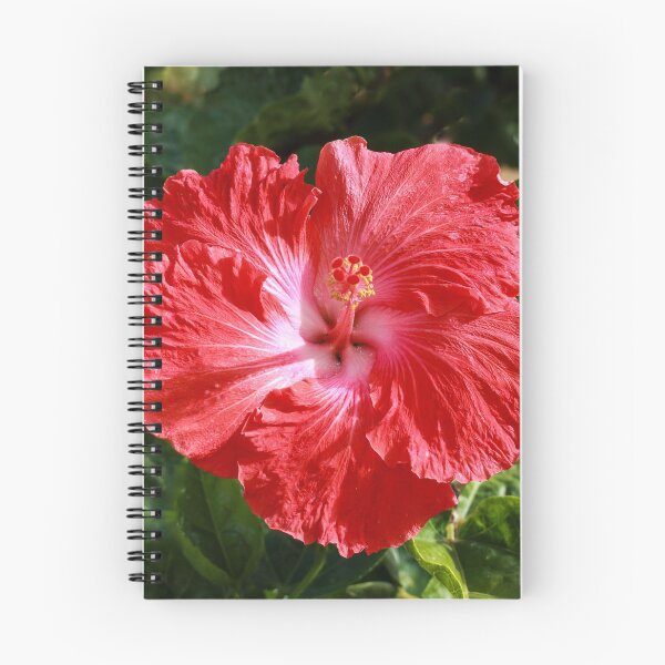Item preview, Red Hibiscus designed and sold by DPalmer.