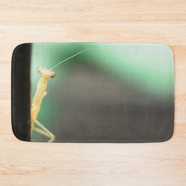 Item preview, Peek A Boo Mantis designed and sold by DonnaM.