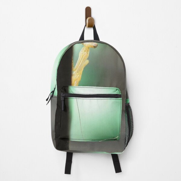 Item preview, Peek A Boo Mantis designed and sold by DonnaM.
