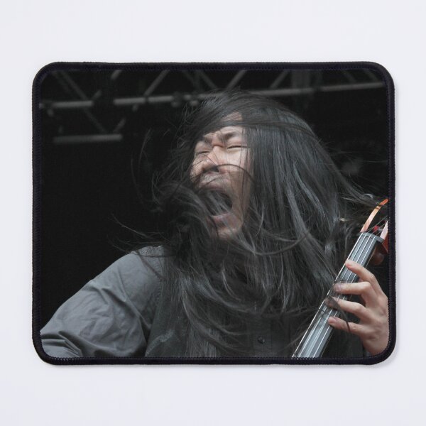 Item preview, The Avett Brothers - Joe Kwon designed and sold by ConcertImages.
