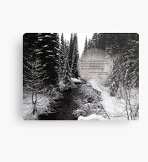 Woods in Winter Metal Print