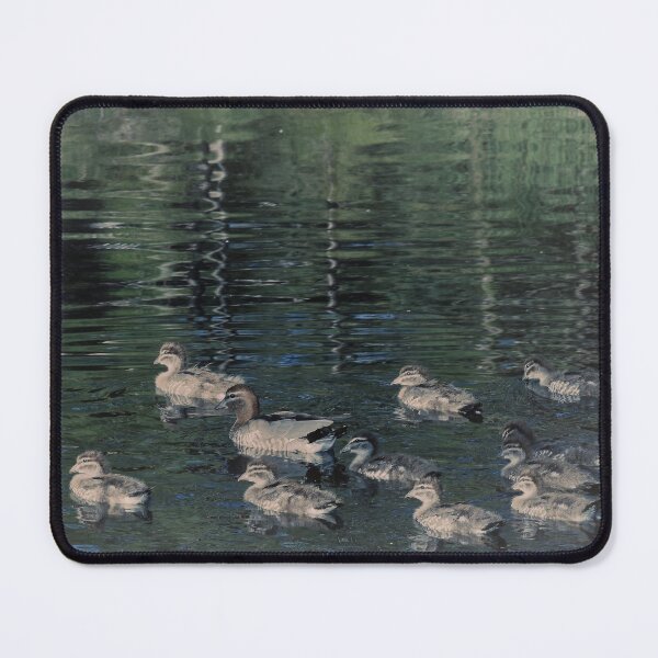 Item preview, Ducks and ducklings designed and sold by imaginethis.