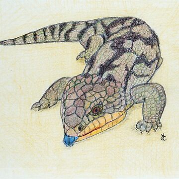 Artwork thumbnail, Blue Tongued Lizard by Acetry99