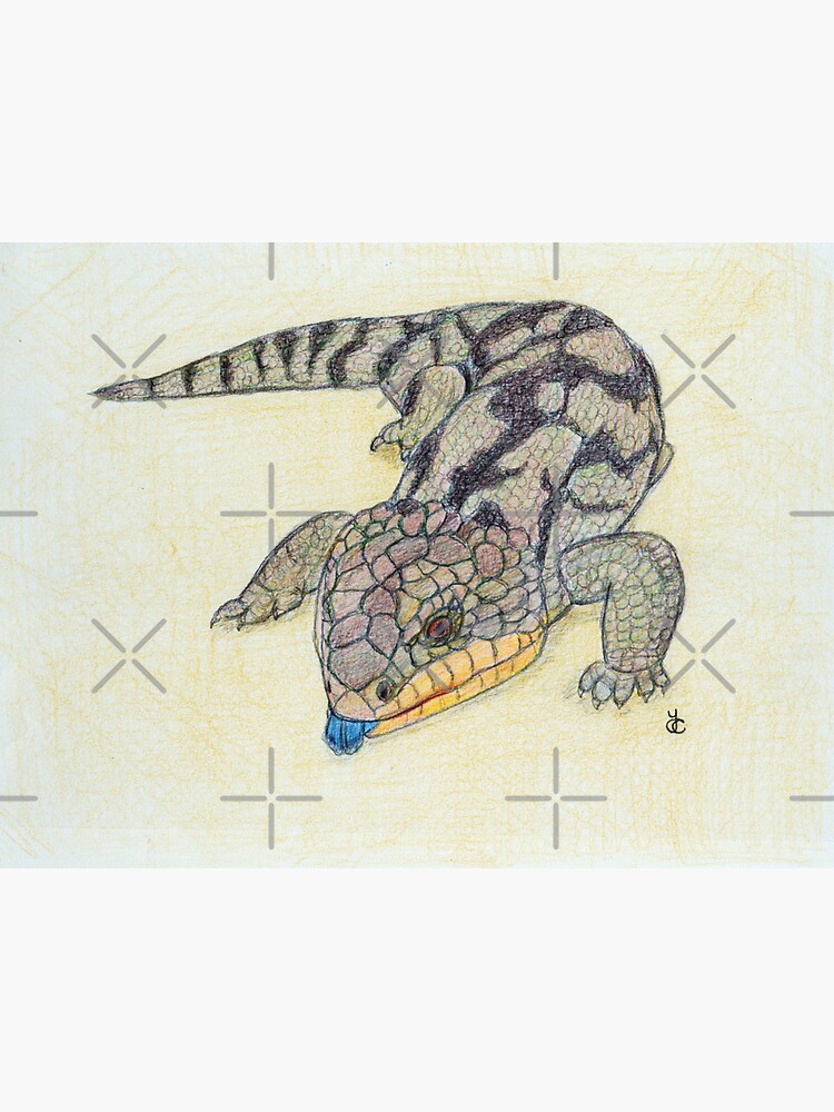 Thumbnail 3 of 3, Sticker, Blue Tongued Lizard designed and sold by Acetry99.