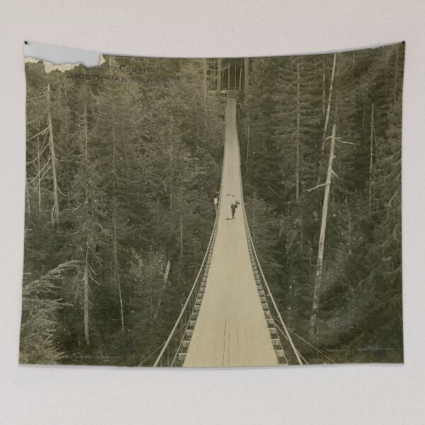 Item preview, Capilano bridge - the famous psychological experiment designed and sold by Night-parade.