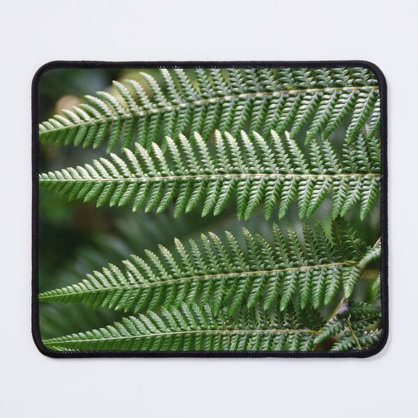 Item preview, fern | nature photography designed and sold by Mii-pics.