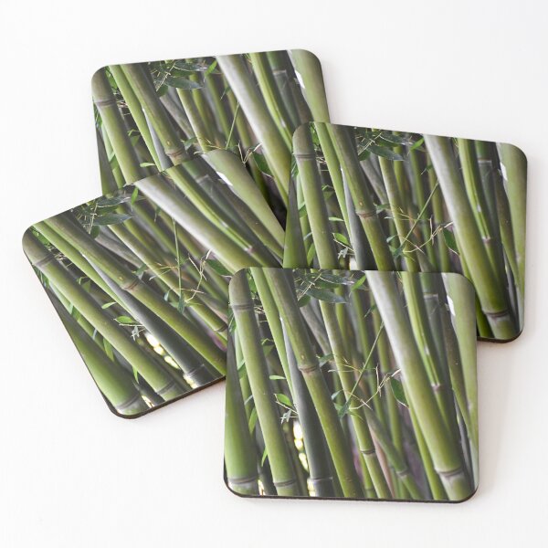 Item preview, Bamboo | nature photography designed and sold by Mii-pics.