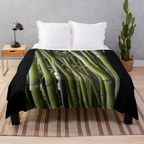 Item preview, Bamboo | nature photography designed and sold by Mii-pics.