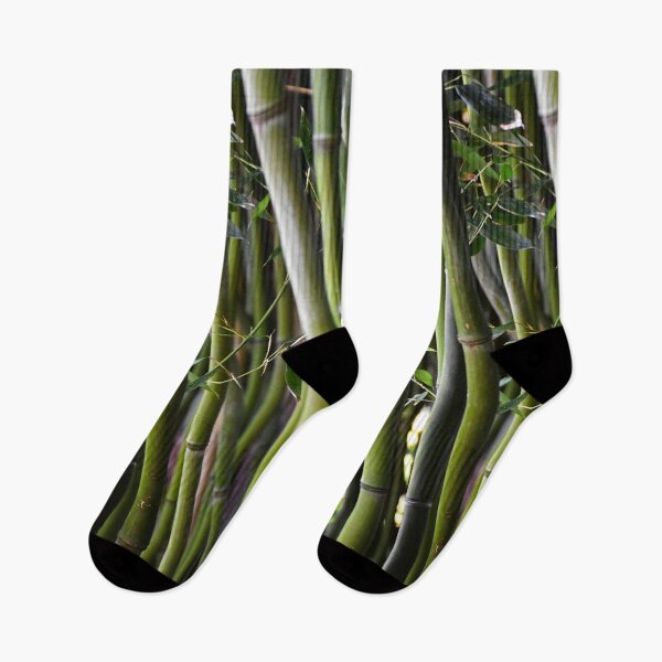 Item preview, Bamboo | nature photography designed and sold by Mii-pics.