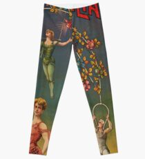Miss Zelia Leggings