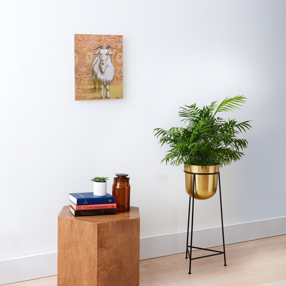 Long Haired White Goat with Peach and Yellow Background Mounted Print