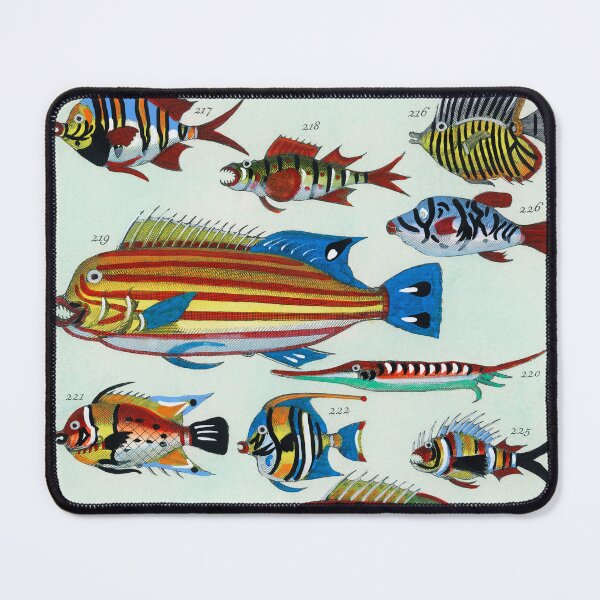 Item preview, Vintage Exotic Colourful Fish Poster designed and sold by Old Soul Vintage .