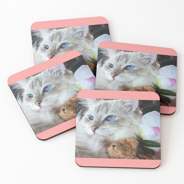 Item preview, Beautiful lynx ragdoll cat Saoirseragdoll  designed and sold by Fluffycat2020.