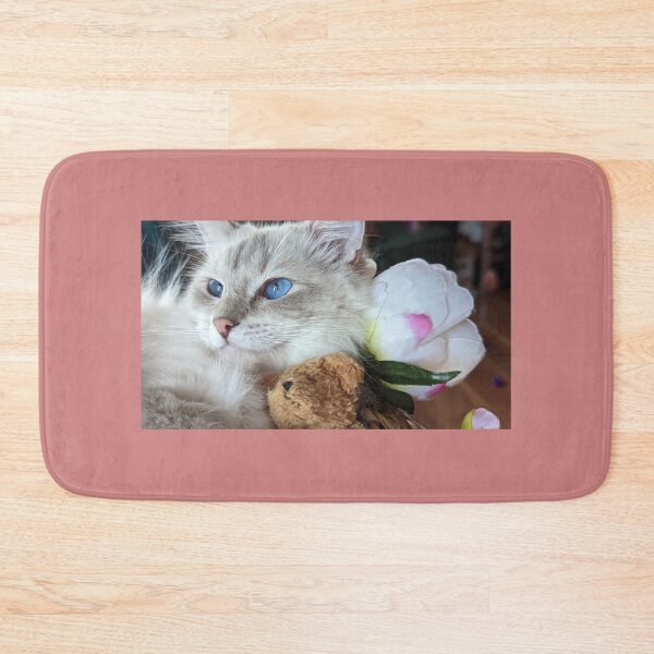 Item preview, Beautiful lynx ragdoll cat Saoirseragdoll  designed and sold by Fluffycat2020.