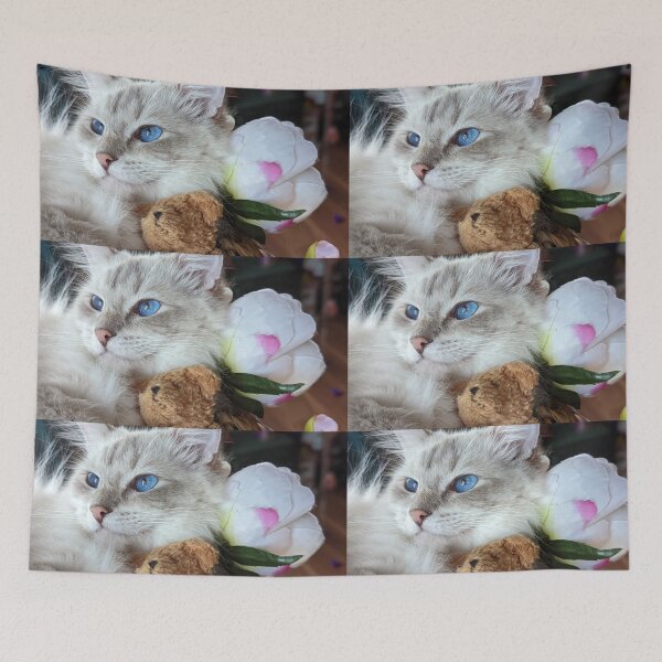 Item preview, Beautiful lynx ragdoll cat Saoirseragdoll  designed and sold by Fluffycat2020.