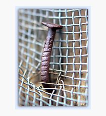 YOU NAILED IT! Photographic Print