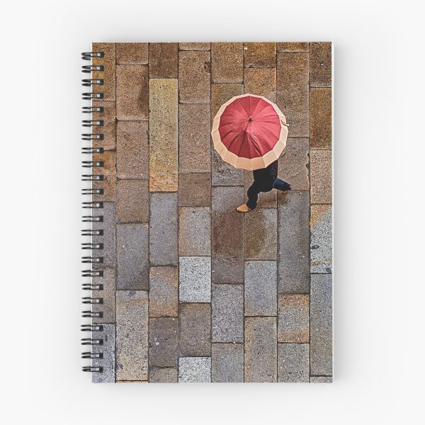 Item preview, Ducha gallega. Plaza del Obradoiro, Santiago de Compostela designed and sold by Mark Higgins.