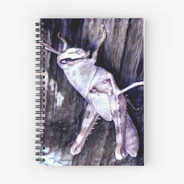 Item preview, Insect Vagrant Grey Bird Grasshopper Schistocerca Nitens (04) designed and sold by SanArtcisco.