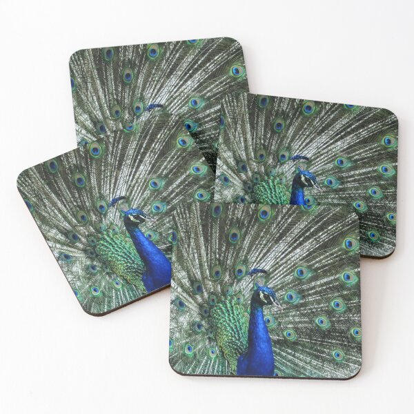 Item preview, Beautiful Flared Peacock designed and sold by pocketurtle.
