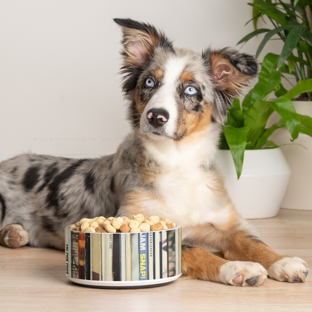 Item preview, Pet Bowl designed and sold by Iheartrecords.