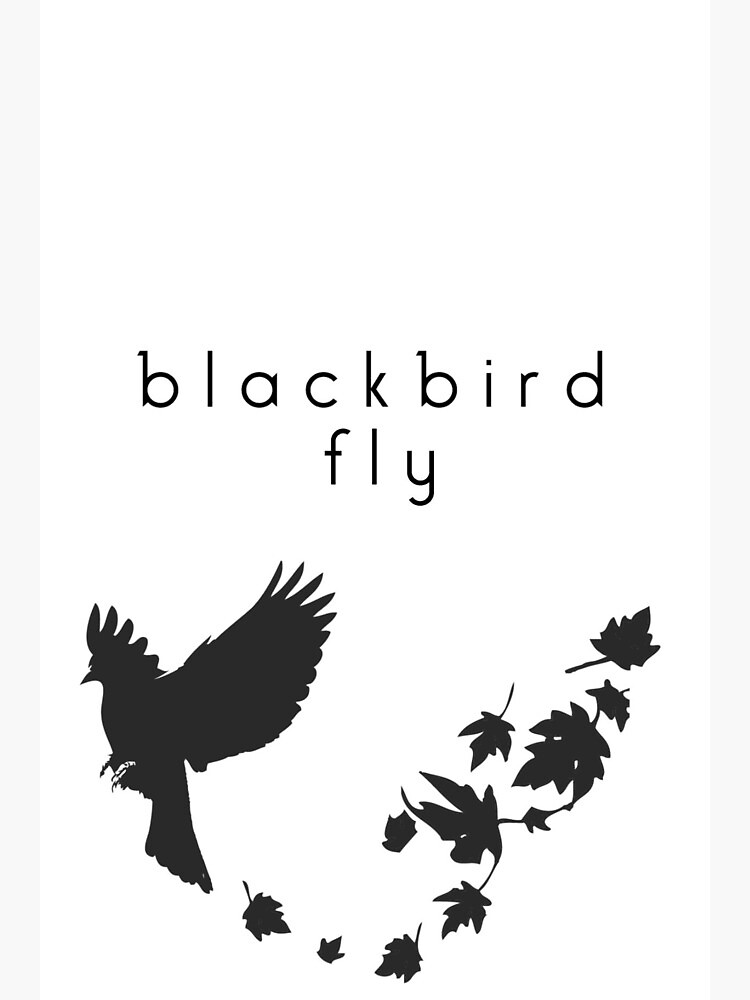 blackbird fly | Postcard