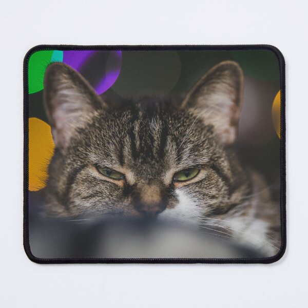 Item preview, Grumpy Cat Infront Of Christmas Tree With Lights Cutest Cat Pics designed and sold by CutestCatPics.