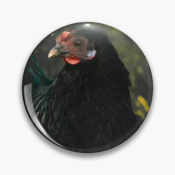 Item preview, black chicken designed and sold by Francespoppy.