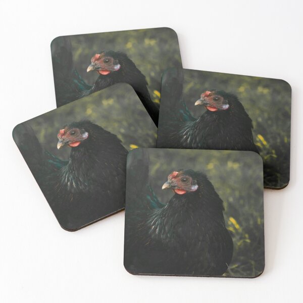 Item preview, black chicken designed and sold by Francespoppy.