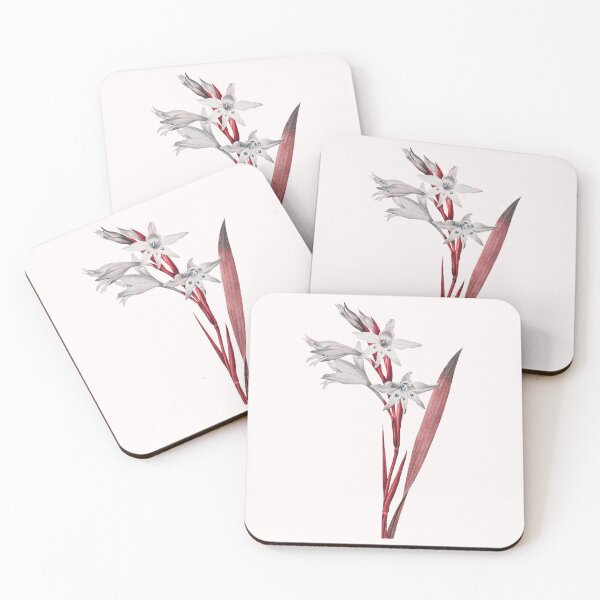 Item preview, Gladiolus Flower, Alternative Illustration - Grey and Red Rose designed and sold by DaphneKstudio .