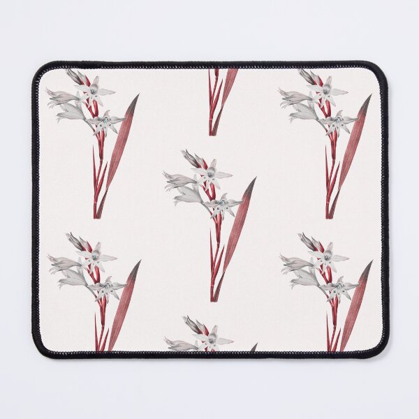Item preview, Gladiolus Flower, Alternative Illustration - Grey and Red Rose designed and sold by DaphneKstudio .