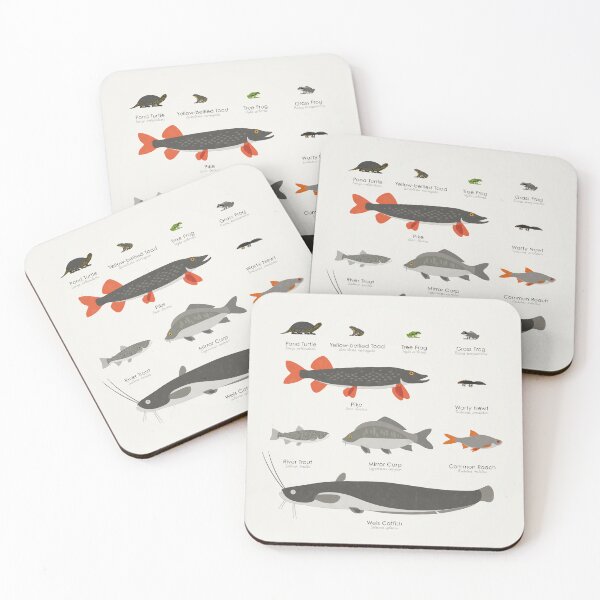 Item preview, Common Water Animals Identification Chart designed and sold by Iris Luckhaus.