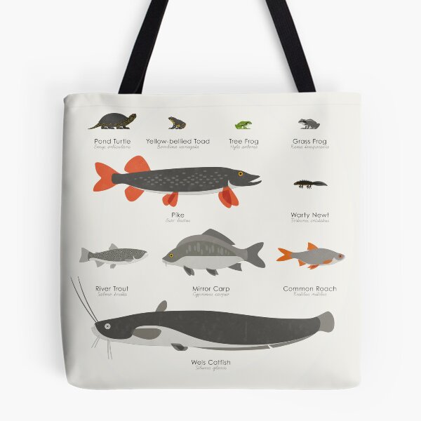 Item preview, Common Water Animals Identification Chart designed and sold by Iris Luckhaus.