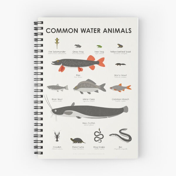 Item preview, Common Water Animals Identification Chart designed and sold by Iris Luckhaus.