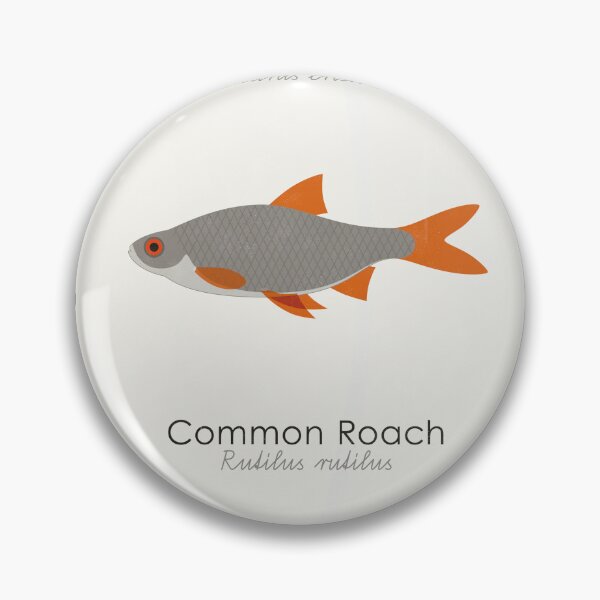 Item preview, Common Water Animals Identification Chart designed and sold by Iris Luckhaus.