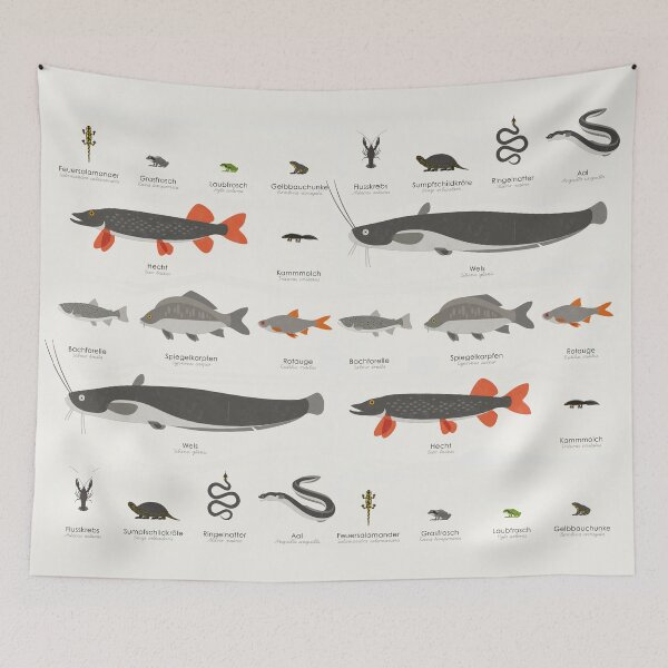 Item preview, Common Water Animals Identification Chart designed and sold by Iris Luckhaus.