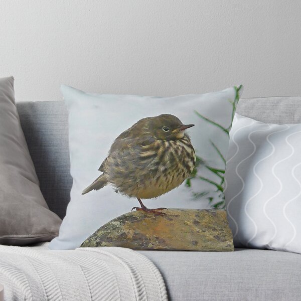 Item preview, Rock Pipit designed and sold by Graeme  Hyde.