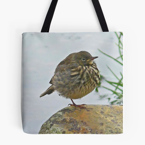 Item preview, Rock Pipit designed and sold by Graeme  Hyde.