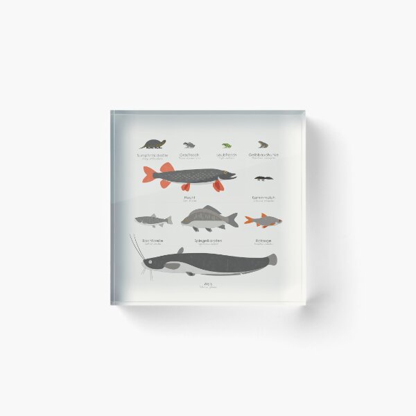 Item preview, Native Aquatic Animals Infographic / Display Board (German) designed and sold by Iris Luckhaus.